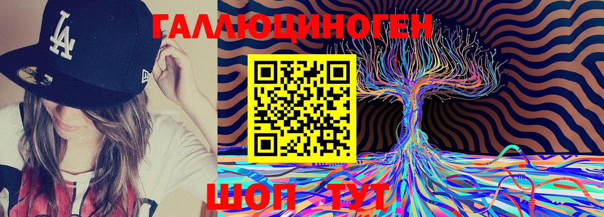 Псилоцибиновые грибы Psilocybine cubensis Екатеринбург