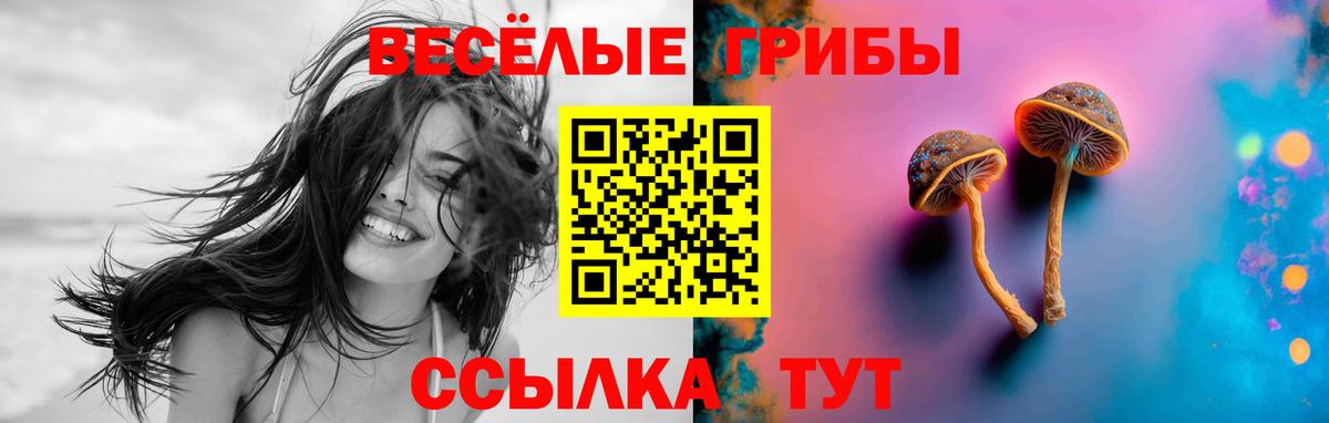 Псилоцибиновые грибы GOLDEN TEACHER  Вход с VPN  Екатеринбург 